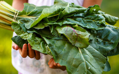 Welcome To The Food Justice Movement