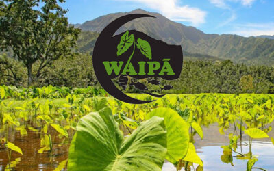 Waipā Foundation – Hope For Kids In Hawaii