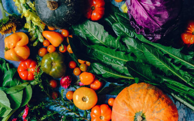 She Grows 900 Pounds Of Food In Her Tiny Yard!