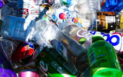 This Inspiring Town In Japan Throws Nothing In The Trash